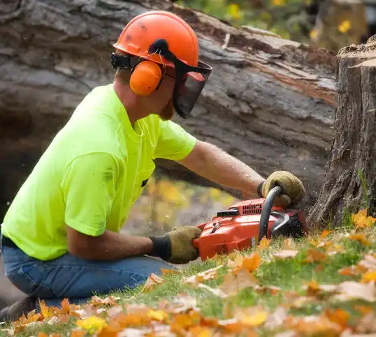 tree services Columbus